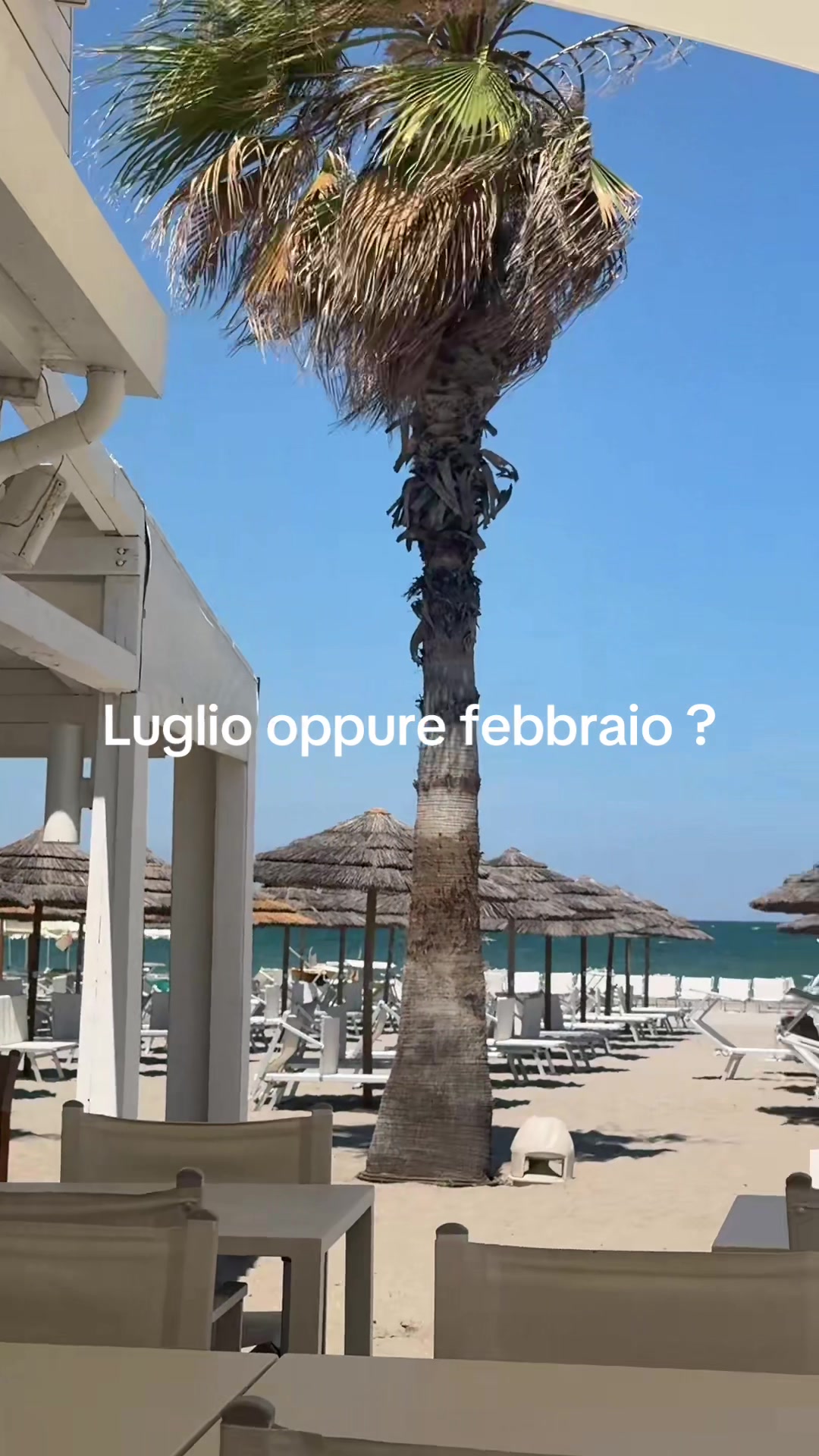 @Martino_donna