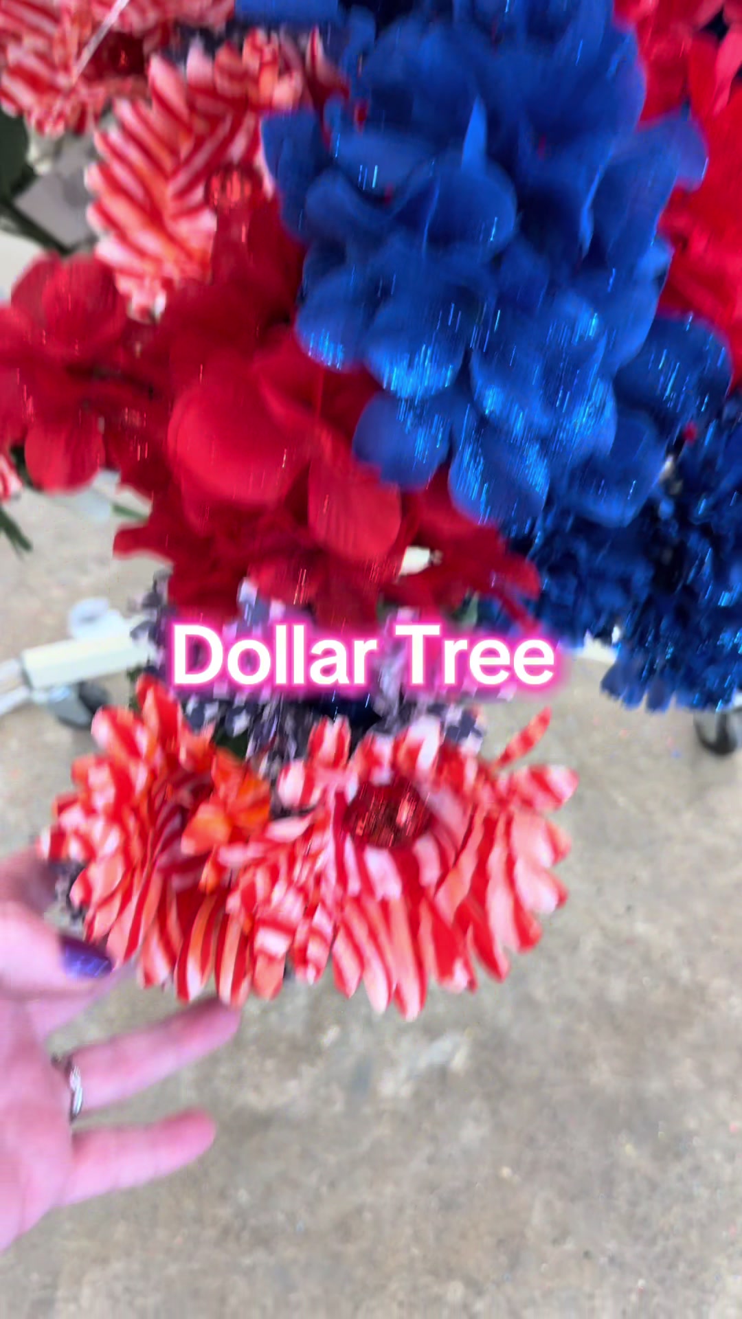 @Bougie On A Budget With Mel