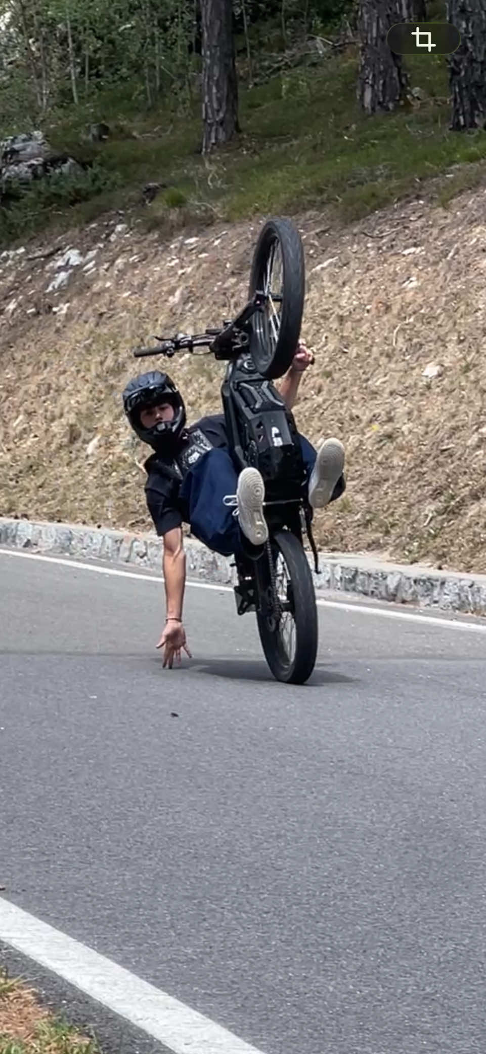 @MX4 Trex
