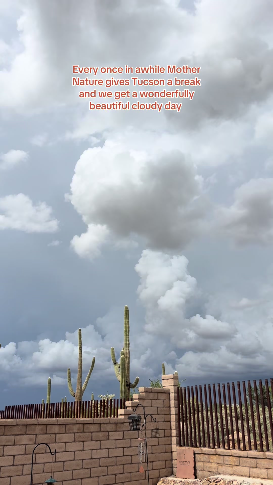 @desertgirly14