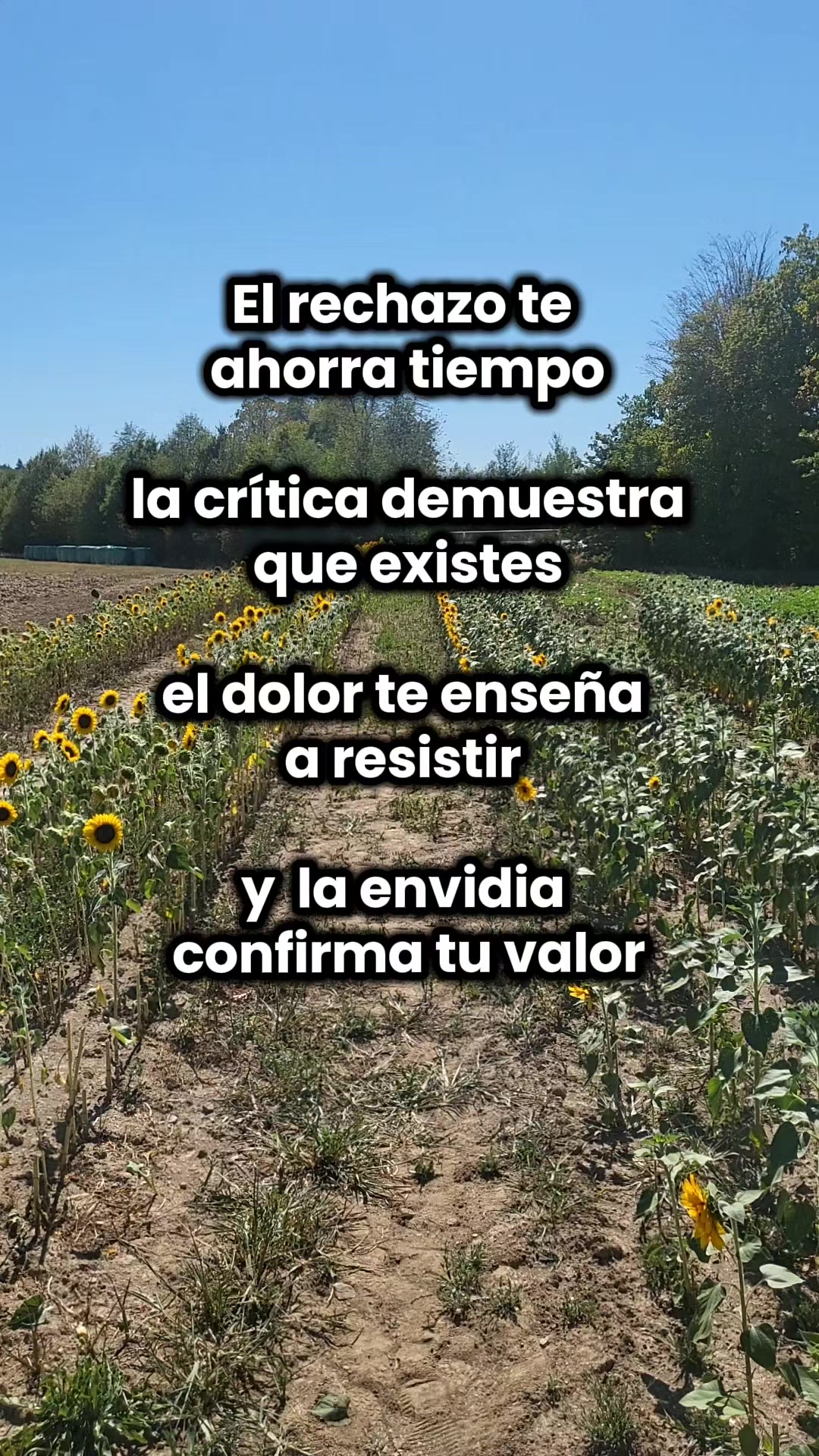 @Luz y vibra