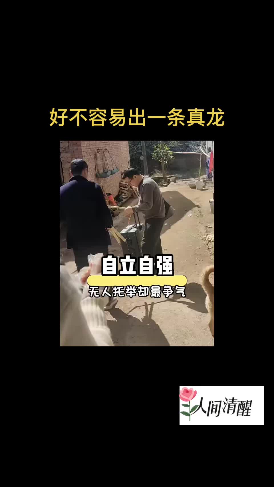 @人间清醒