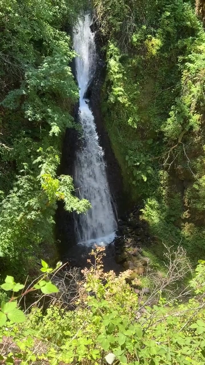 @AllTrails