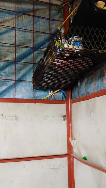 @Ikhwan 🇮🇩