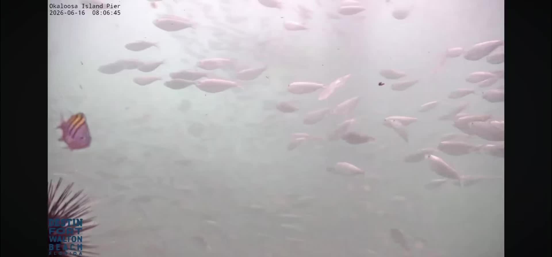 @OkaloosaIslandPier
