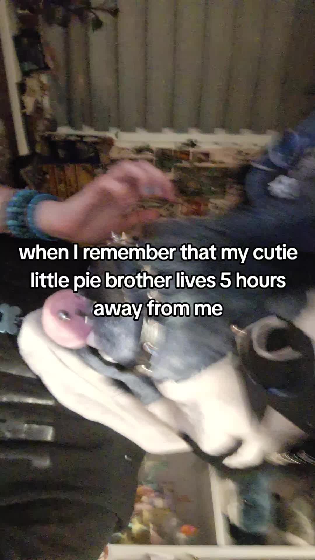 @Jay🦭