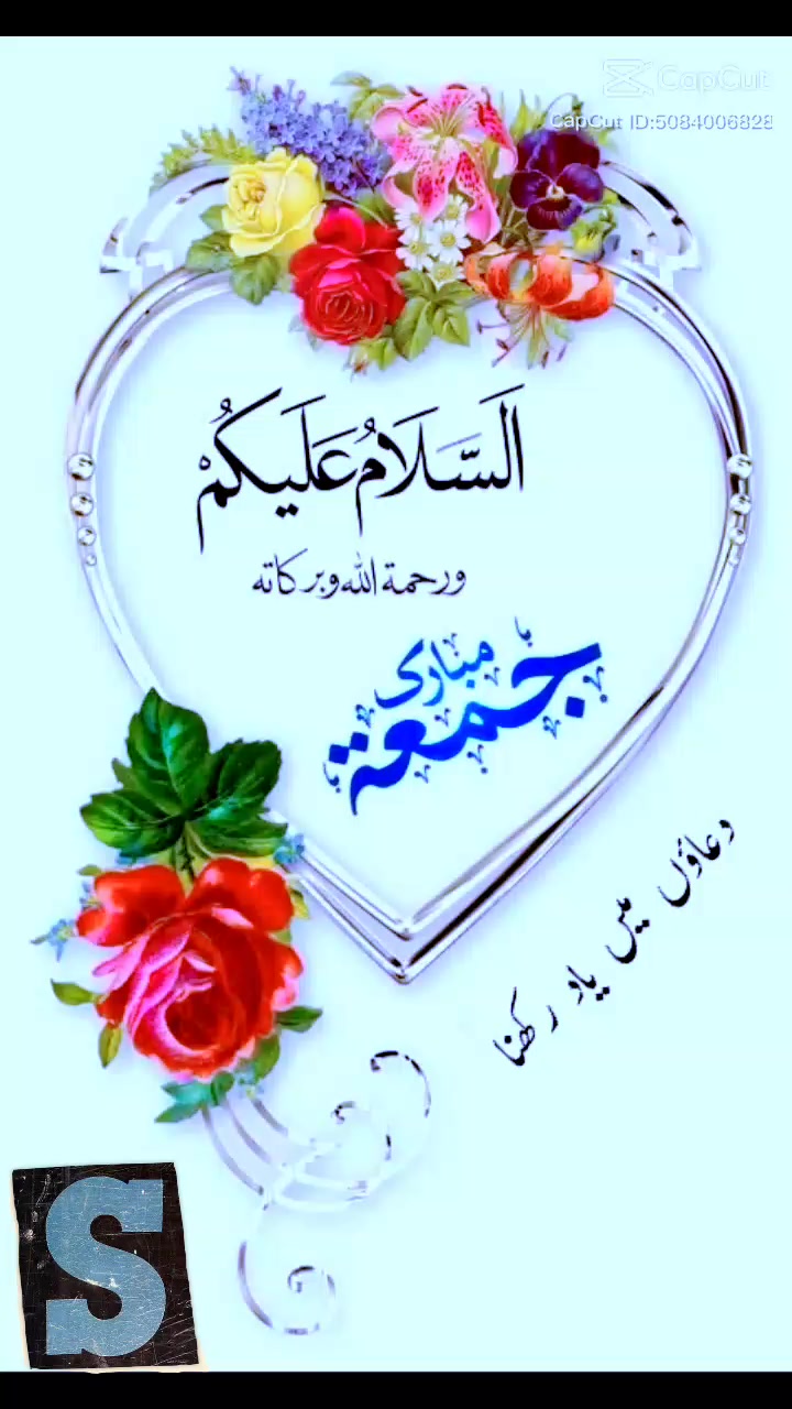 @maliksajjad1860