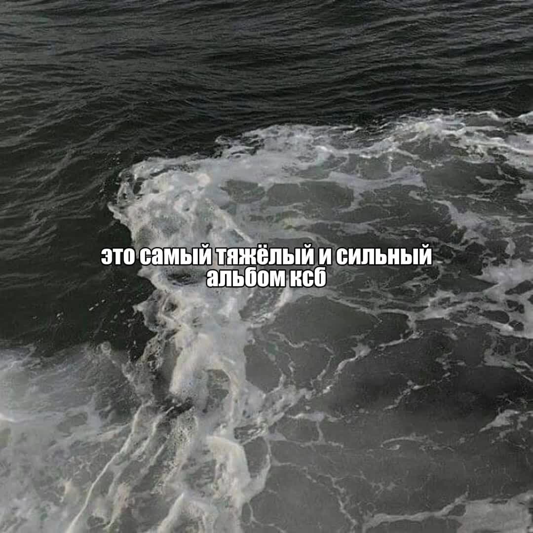 @сияние лапы⁴⁰⁴☮