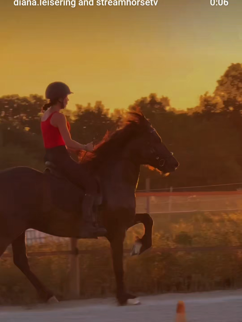 @streamhorse