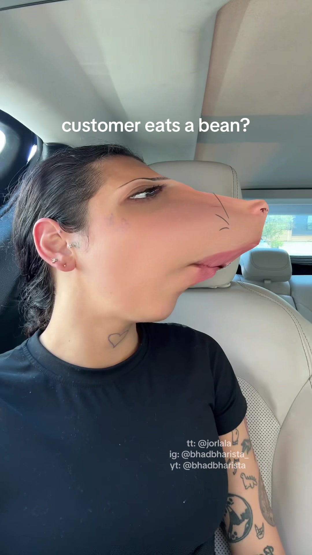 @bhadbharista