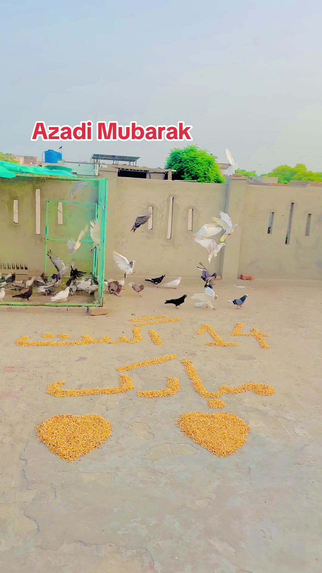 @Shahroz