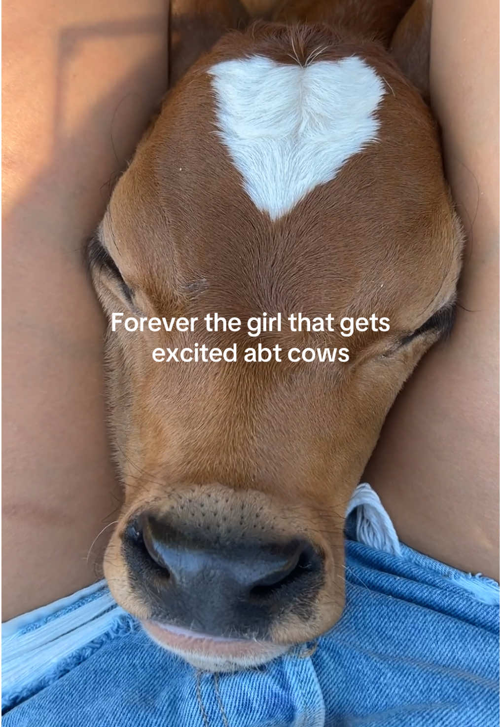 @Merissa Vargas