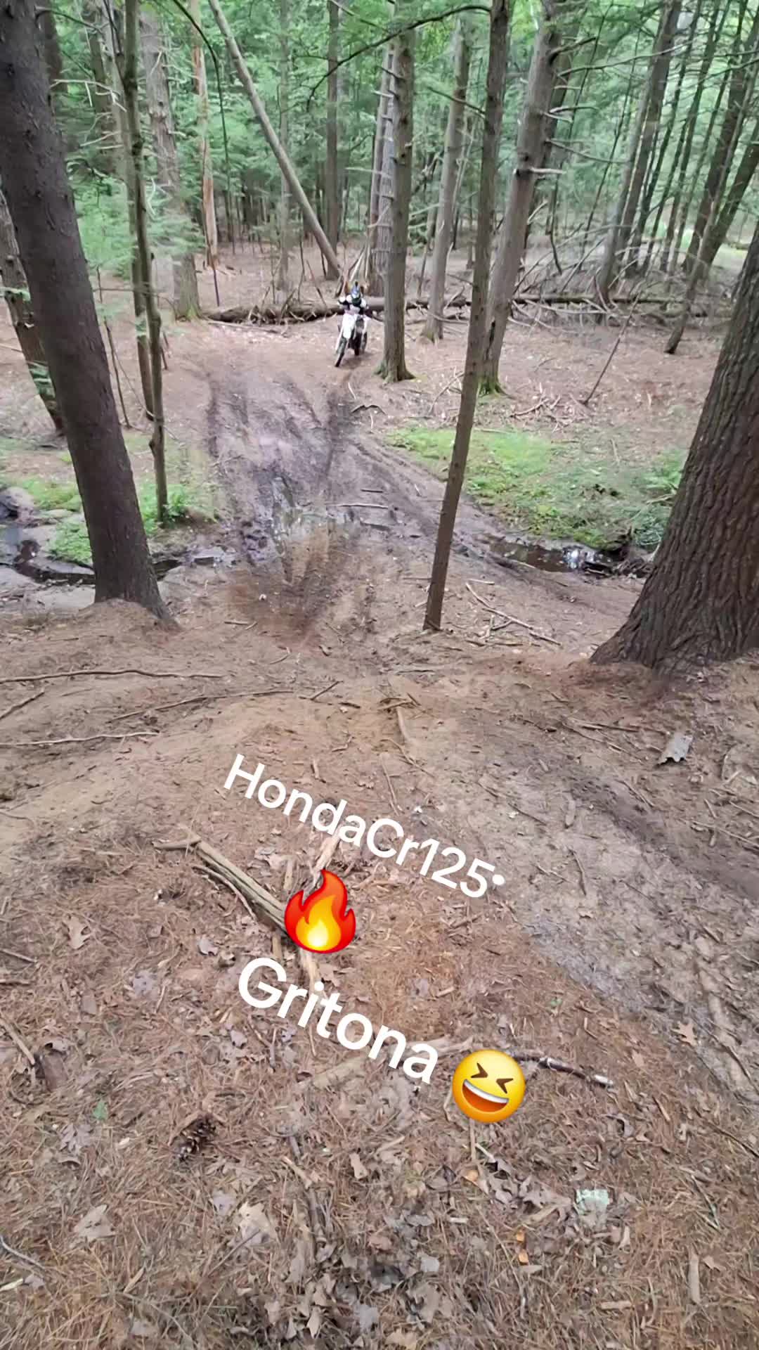 @🦍Zadiel/Ltz400🦍