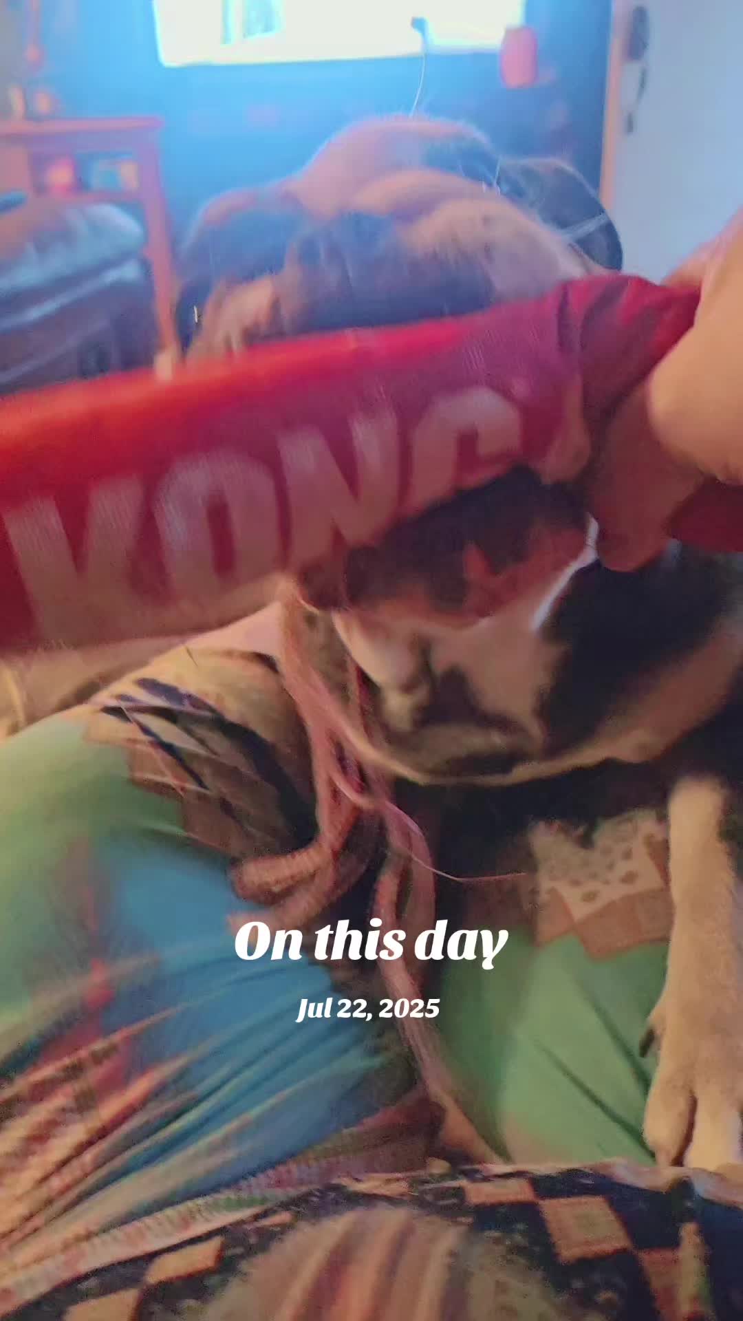 @Sonia&Rosieroo♥️🐾