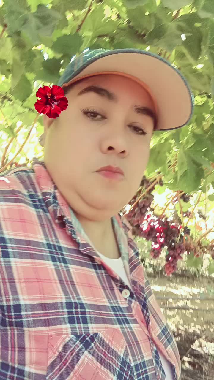 @lily