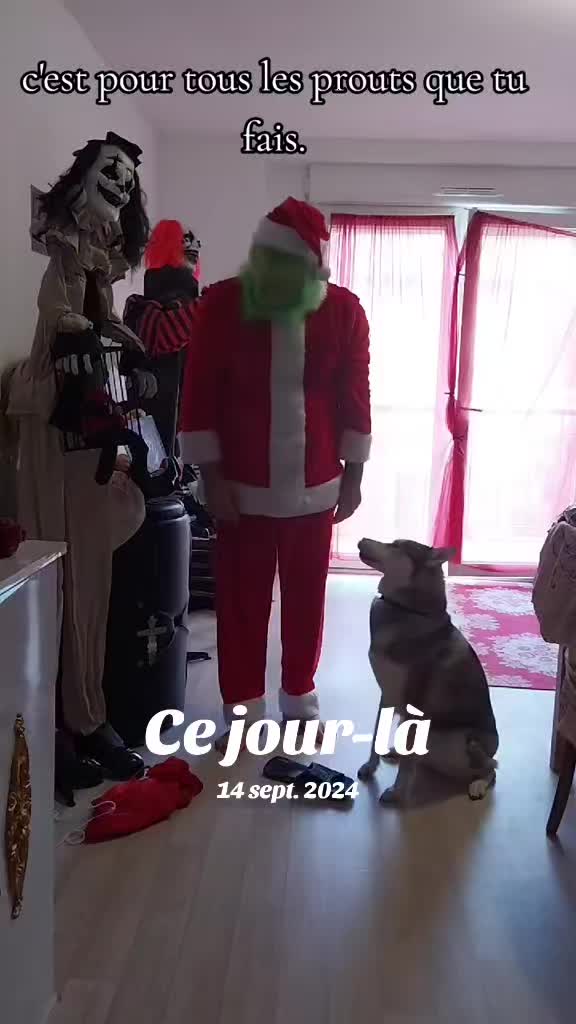 @dog et demon ➕😈 de lenfer ➕👻