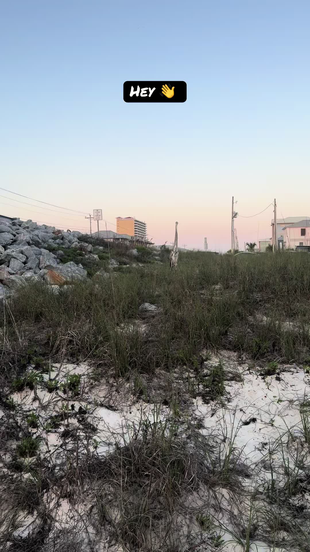 @explore.the.shore