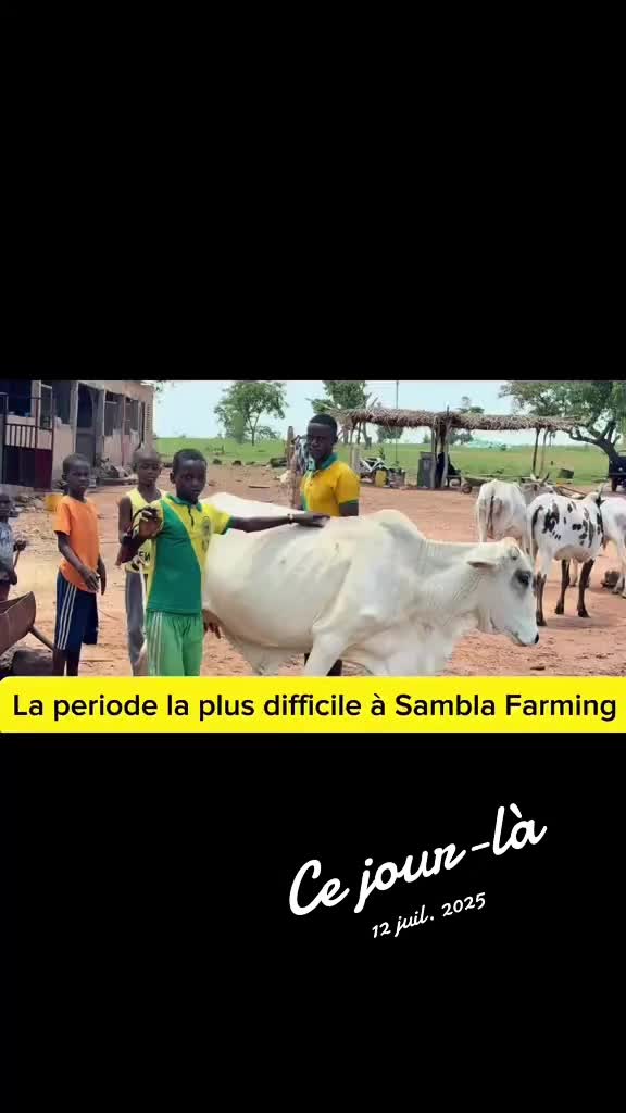 @Sambla Farming