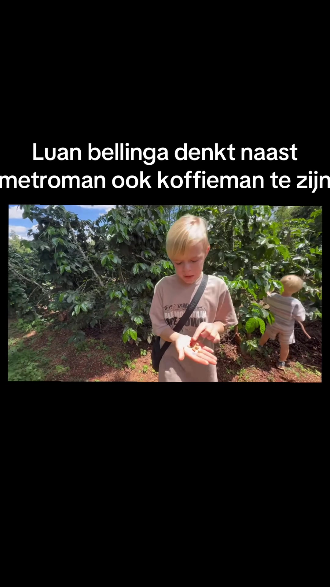 @Wajongstrekkers