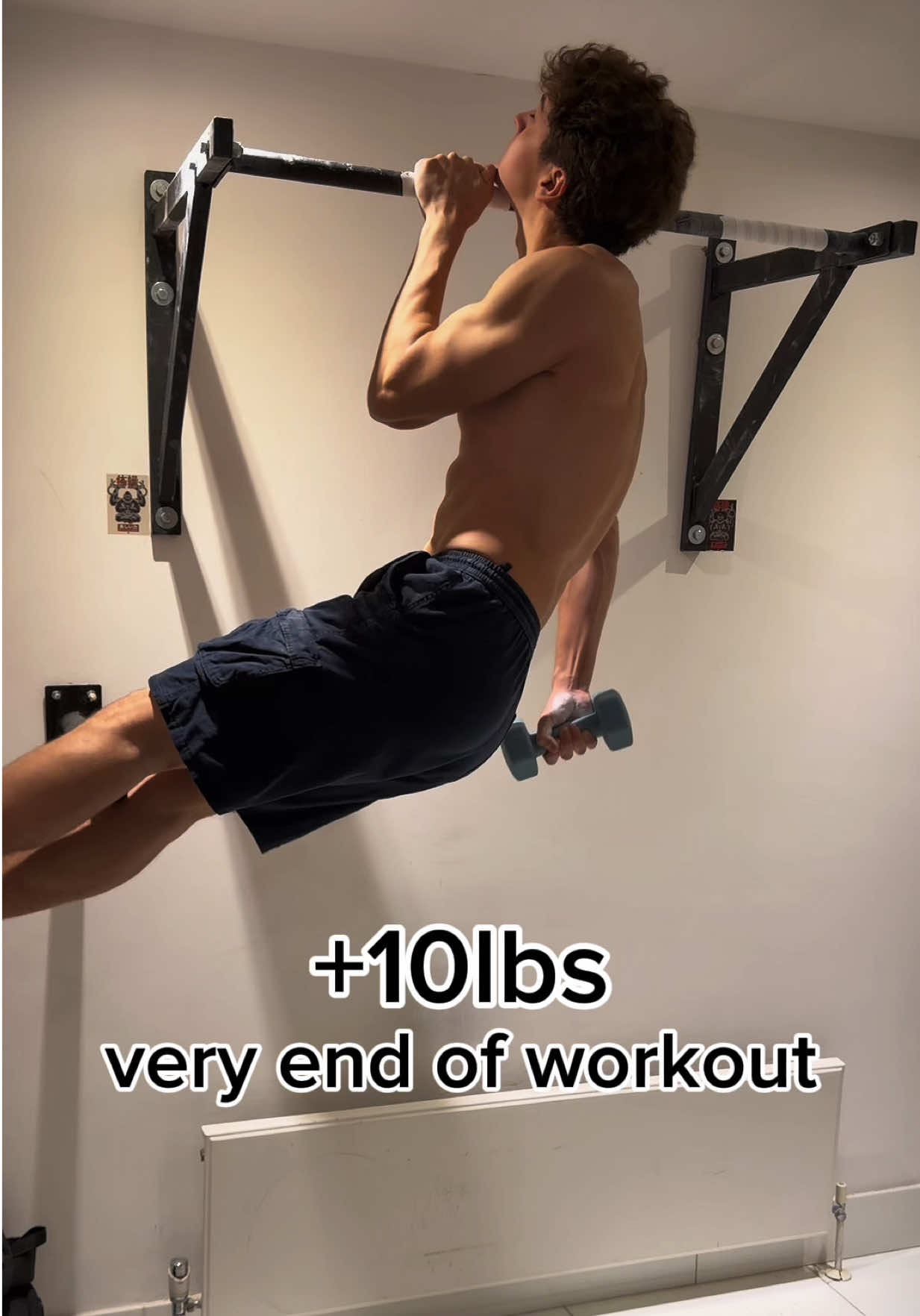 @Daniel | Weighted Pull-ups