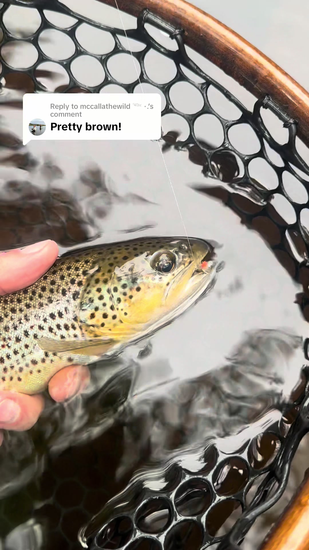 @FlyFishDelawhere