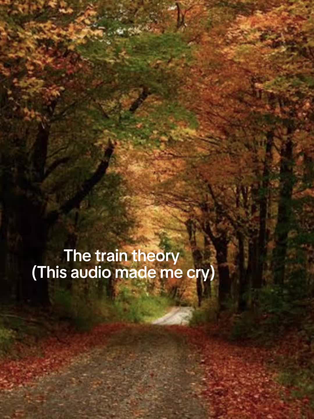 @FS💕