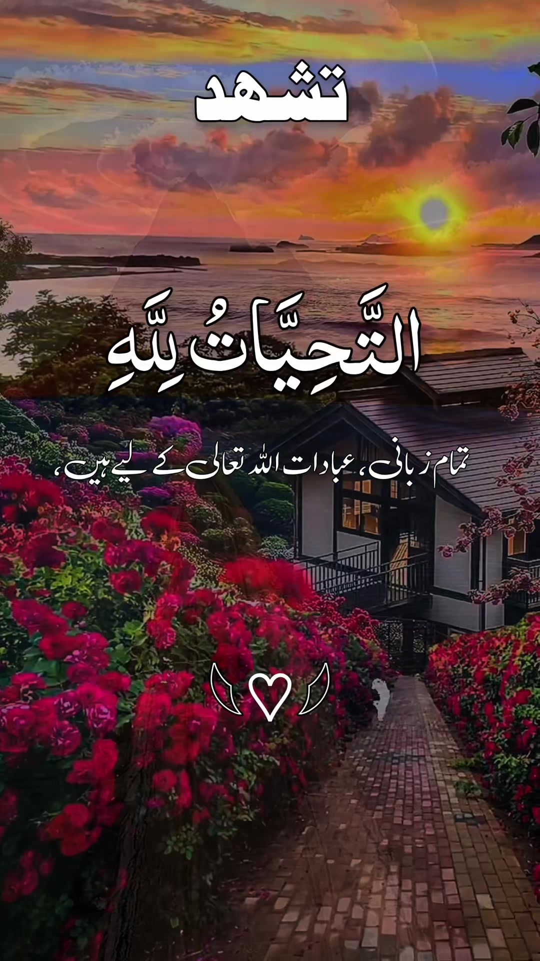 @❣️ Words of Allah ❣️