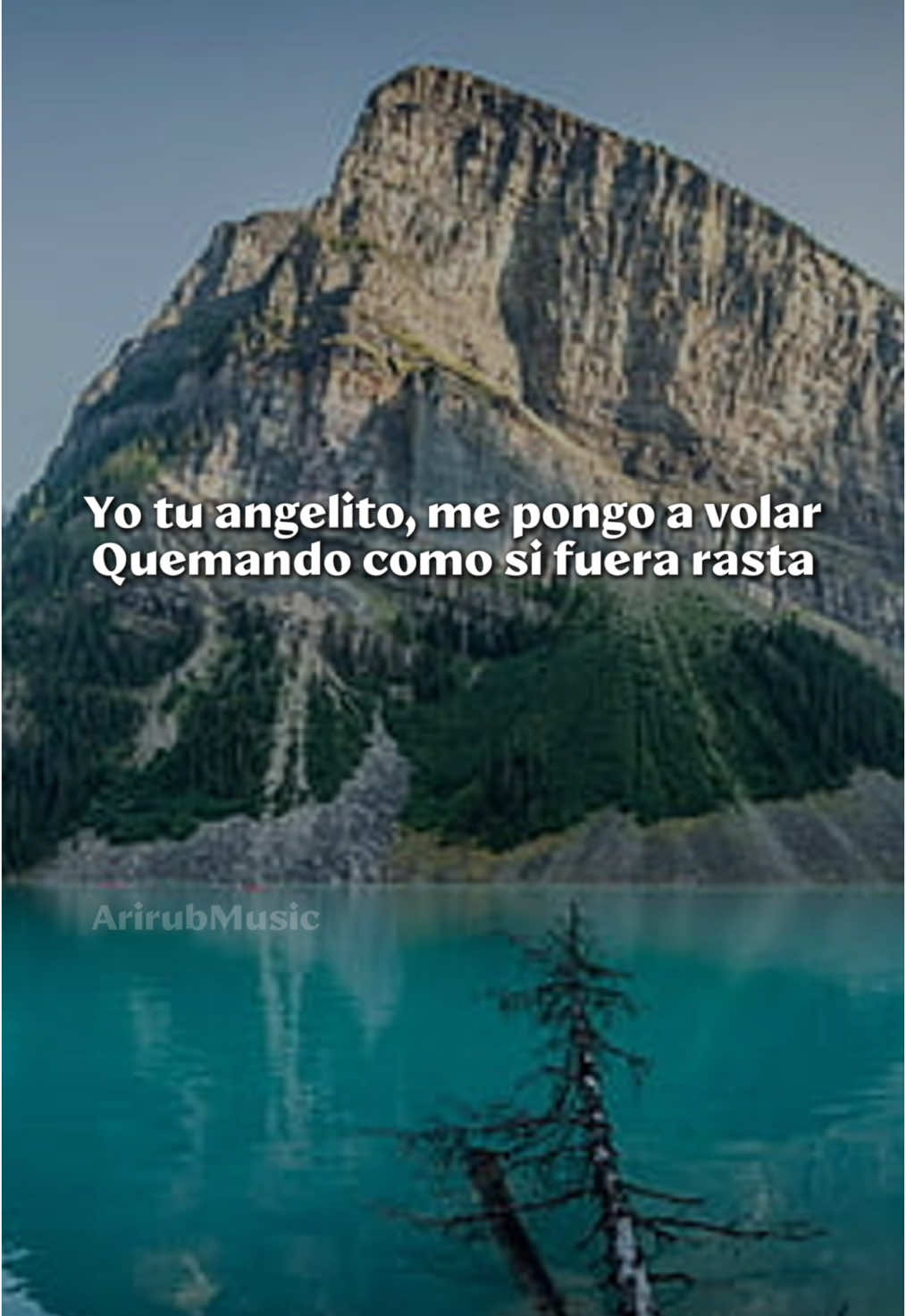 @Arirub BeatVue