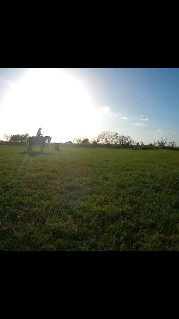 @Tetris_eq