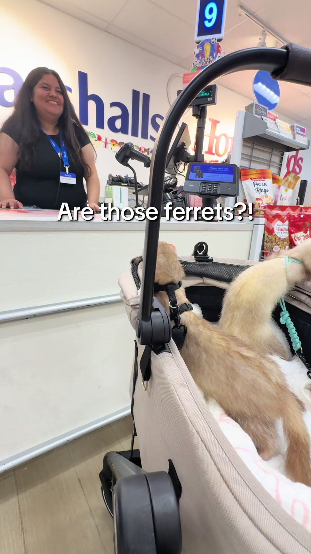 @Moon & Nala
