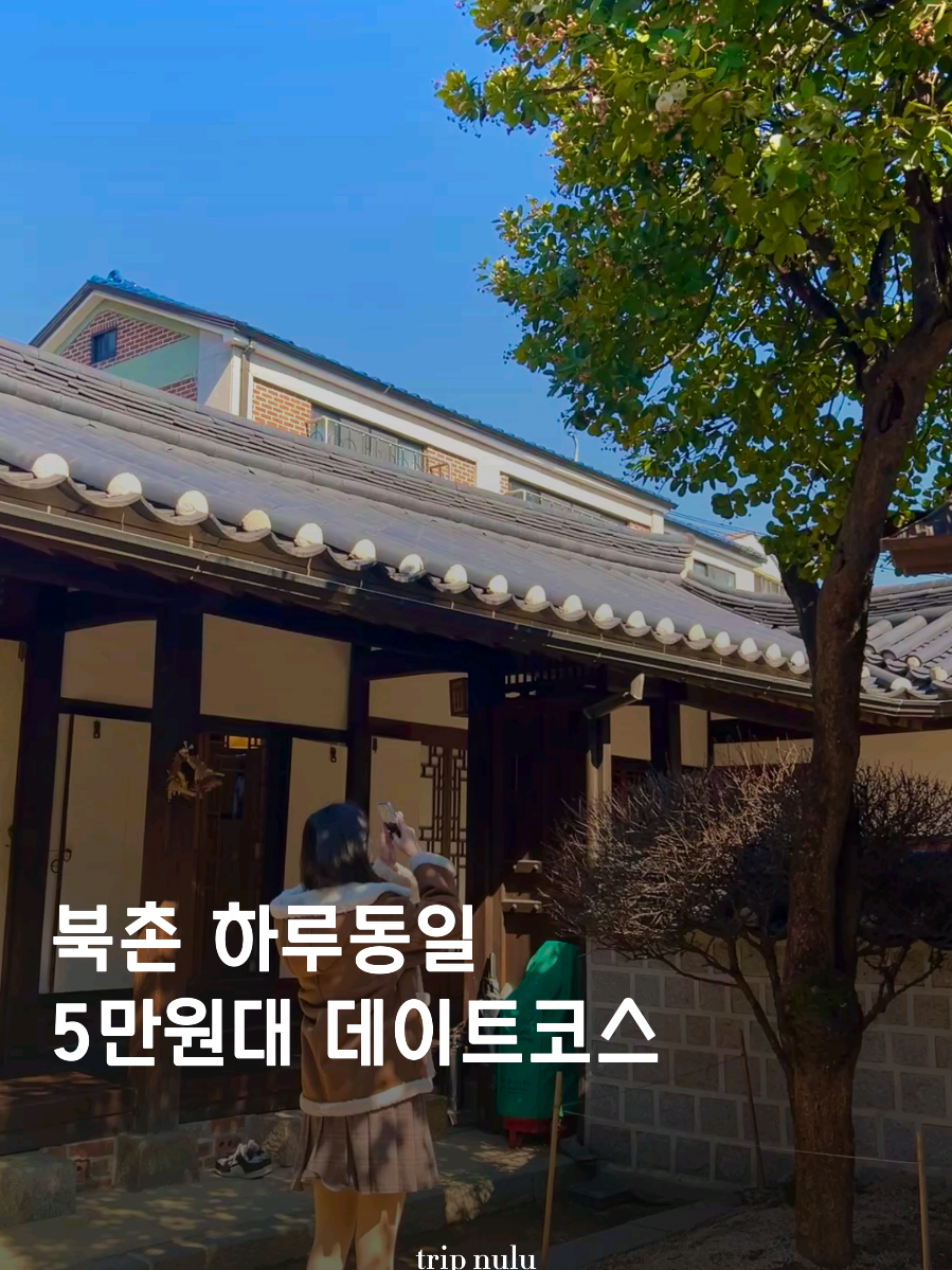 @여행 떠나는 눌루 Trip nulu