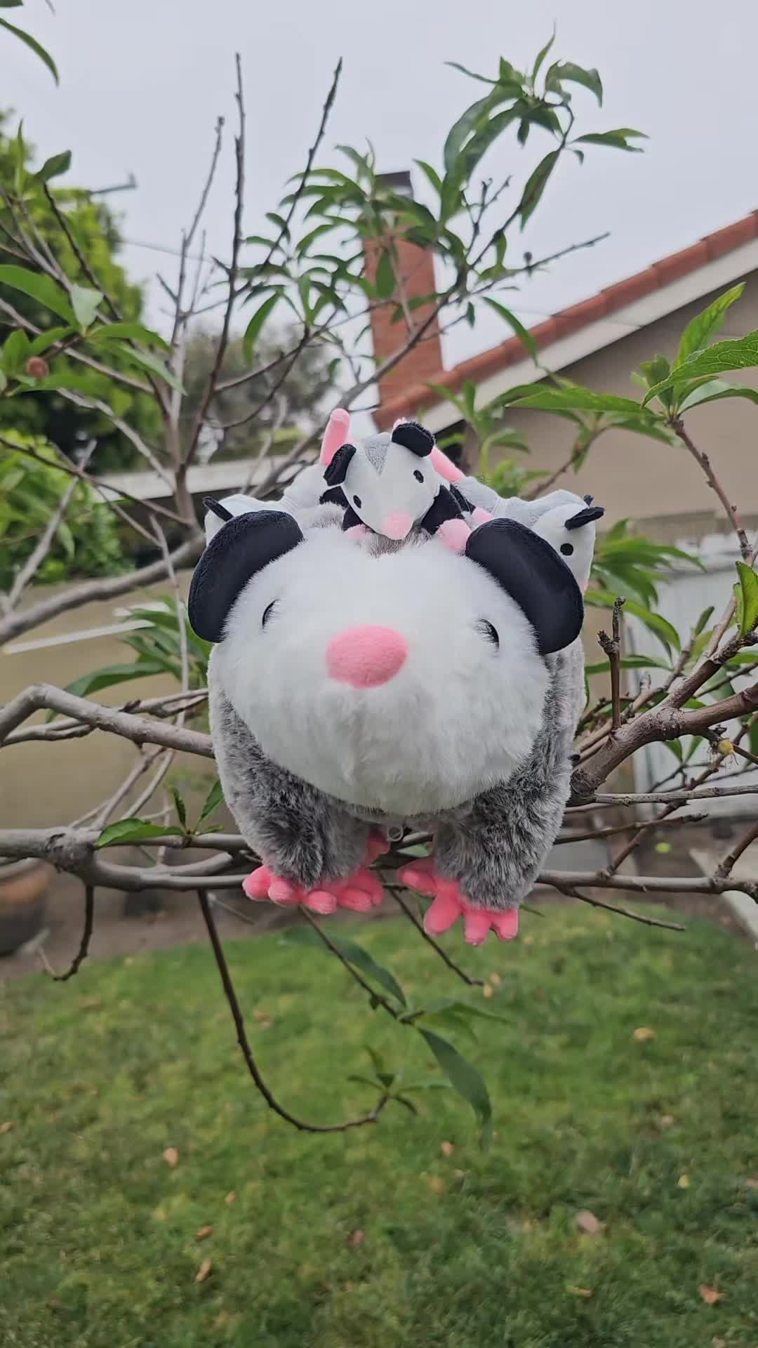 @OPOSSUMDAWGMOM
