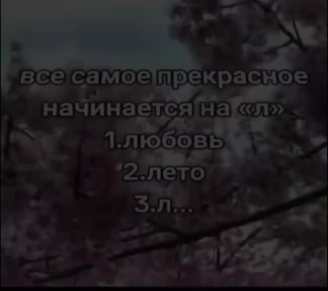 @𝔖𝔱𝔯𝔢𝔢𝔱ℭ𝔞𝔯𝔖𝔭𝔢𝔰𝔦𝔞l