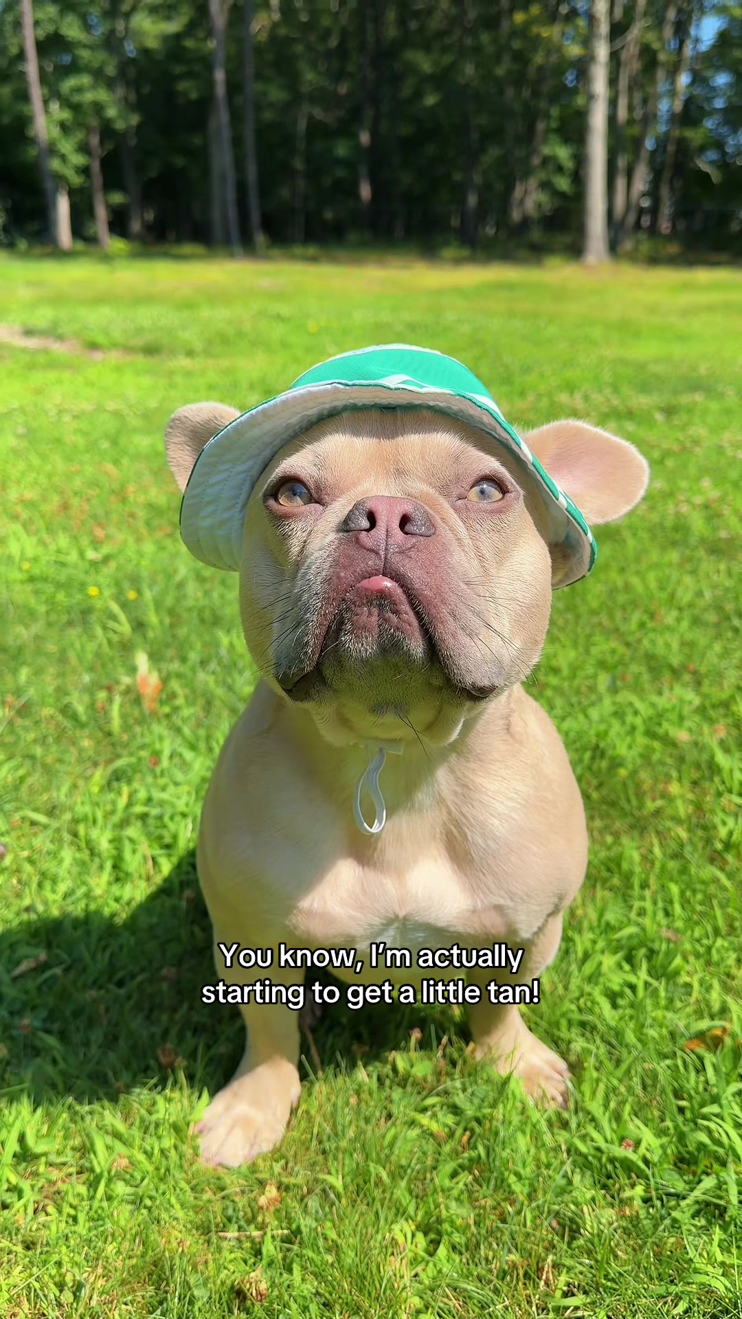 @Winston & Charlie 🐾