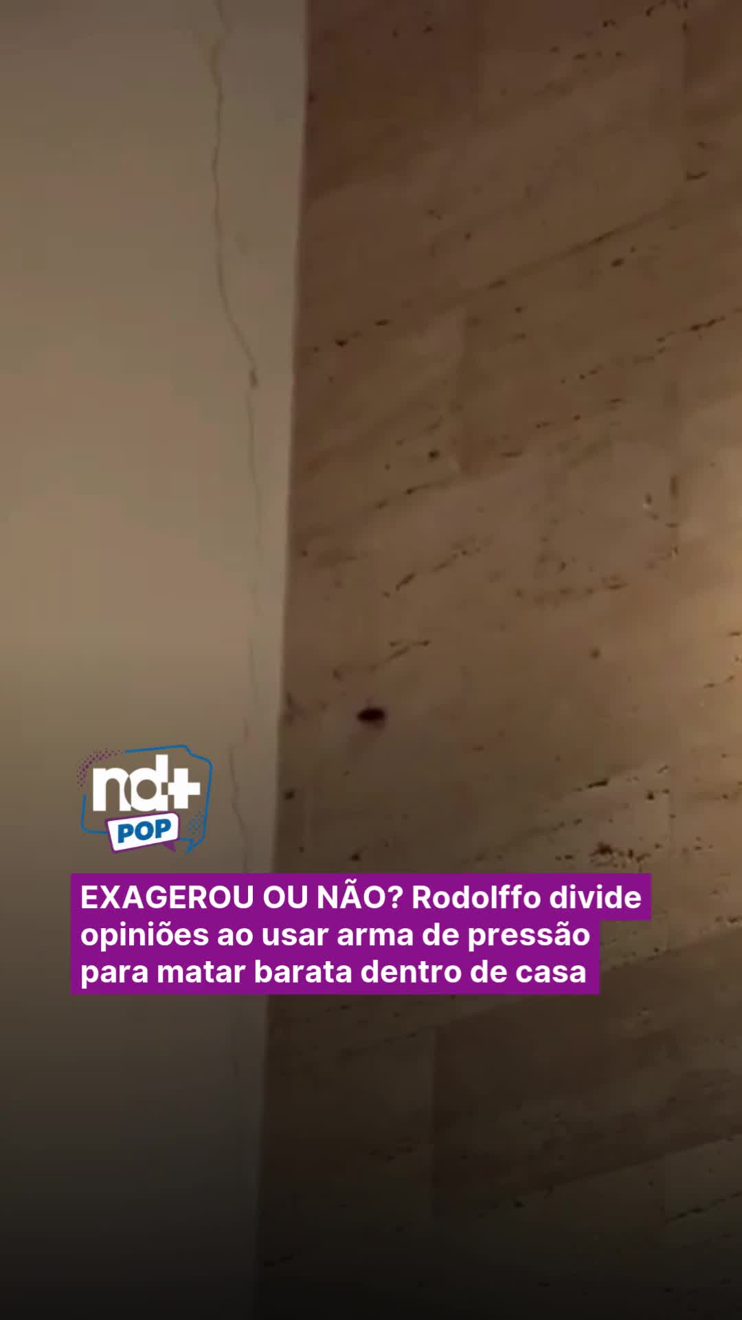 @portalndmais