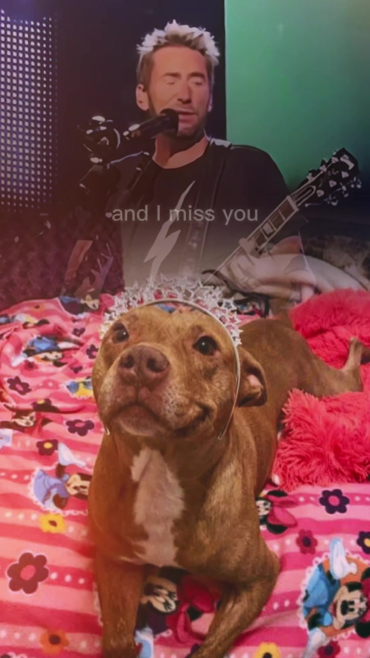 @Elise
