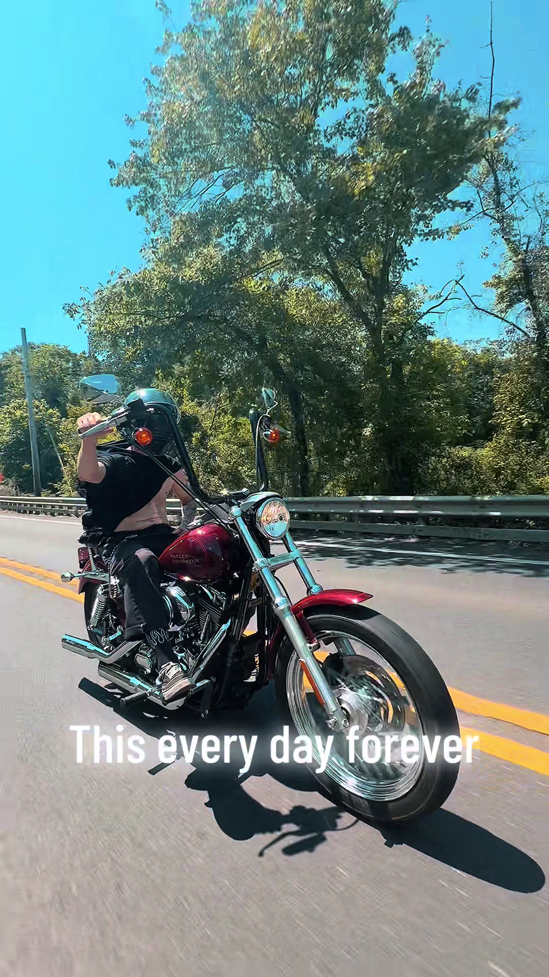 @shitheadsteve215