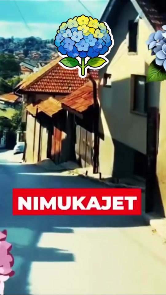 @Hadžibeg