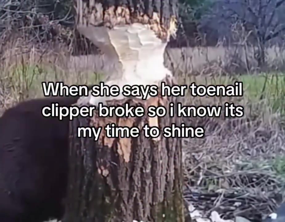 @EpicReposter69