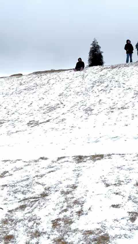 @scar sotelini