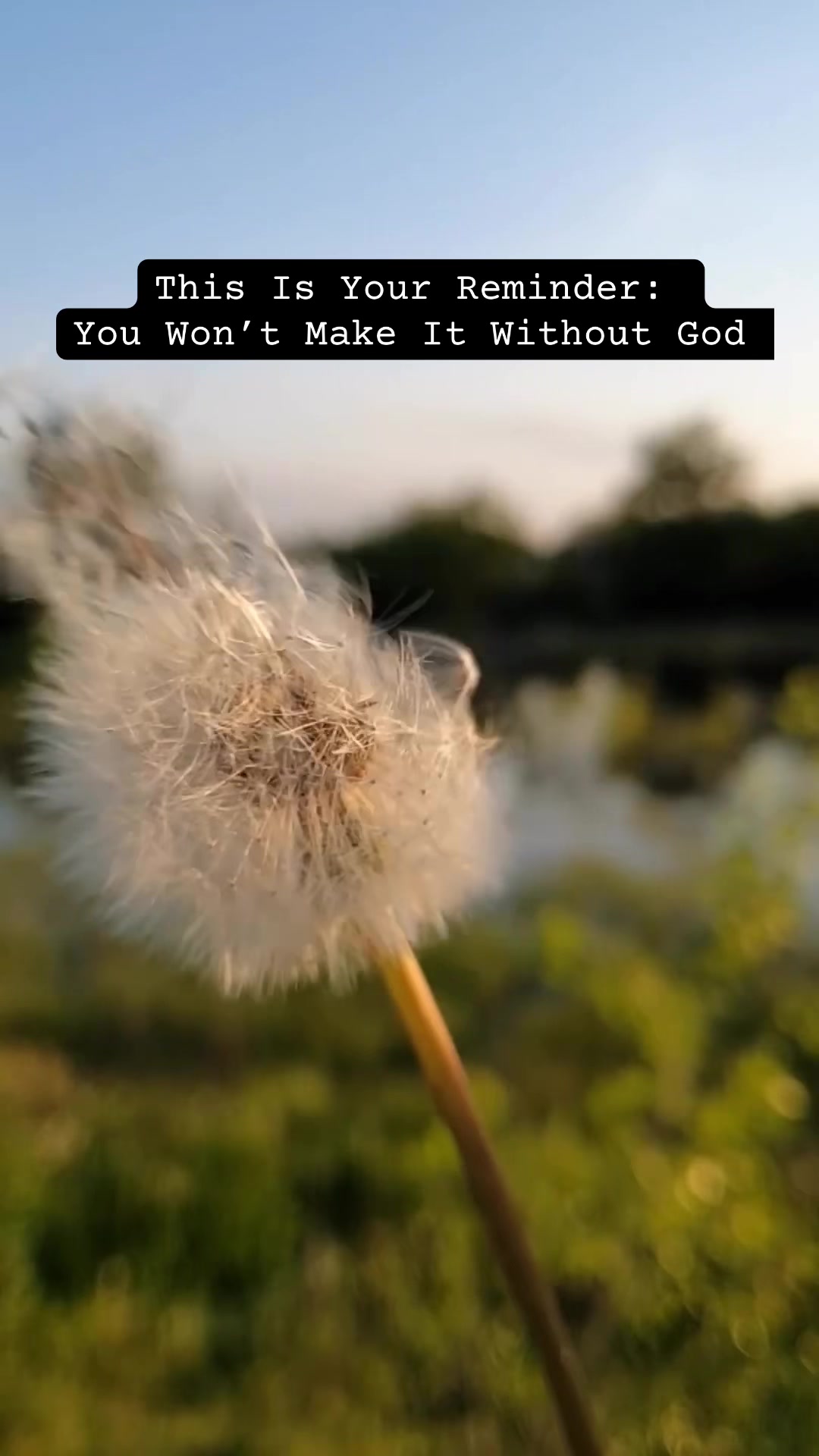 @wow.whispersofworship