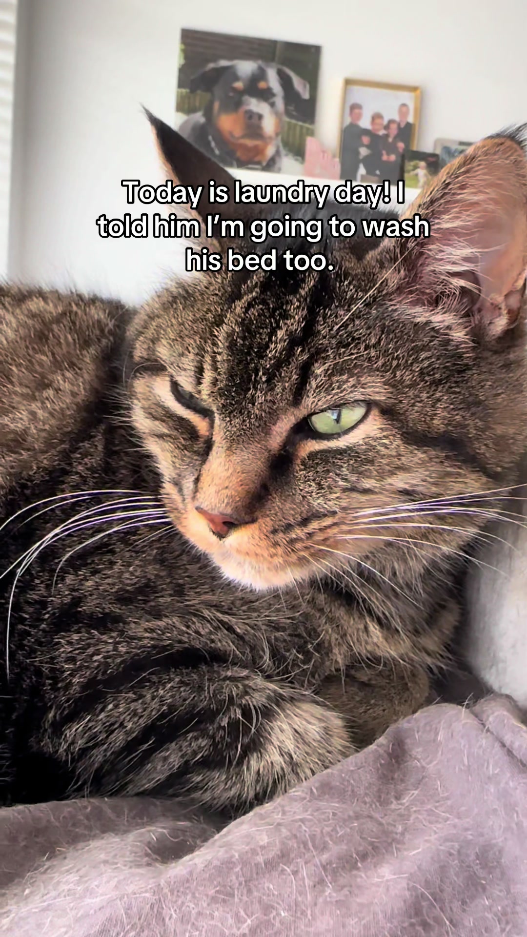 @Joep_the_ rescuecat