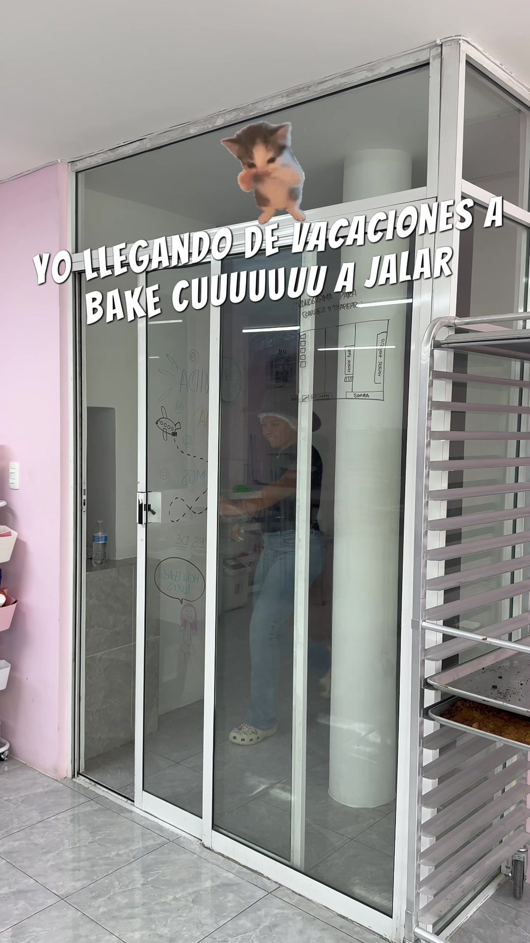 @Alexa_villamil