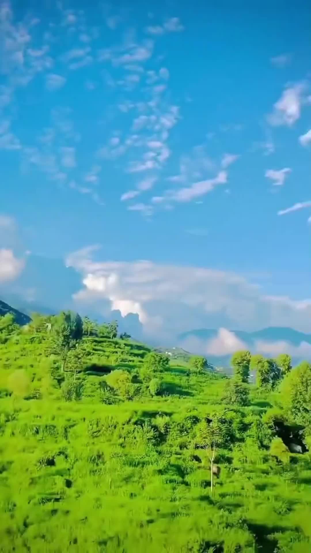 @HK JANAKHEL
