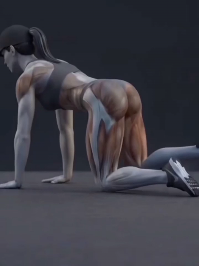 @FITMOTION