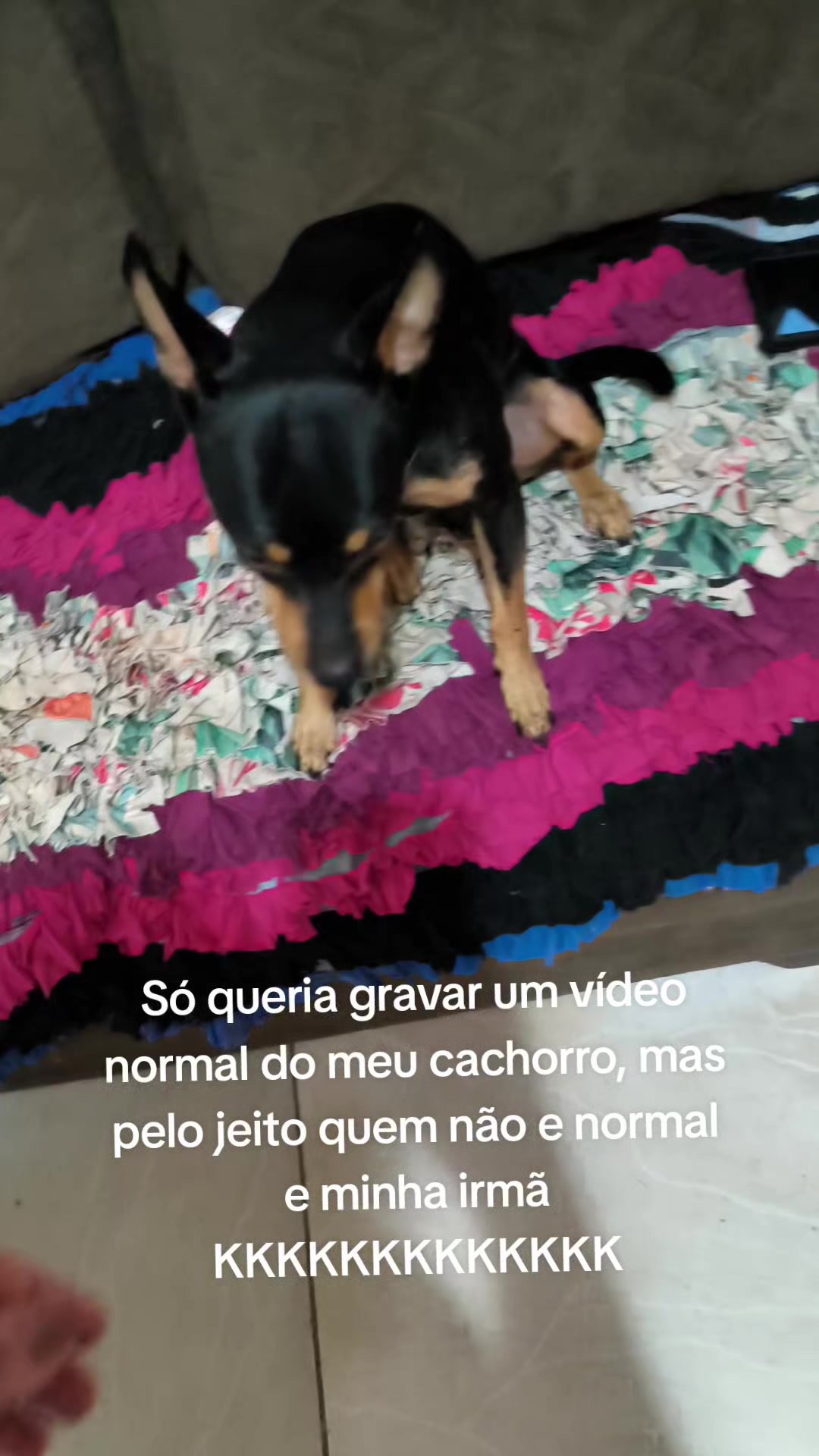 @Vanessa Braga