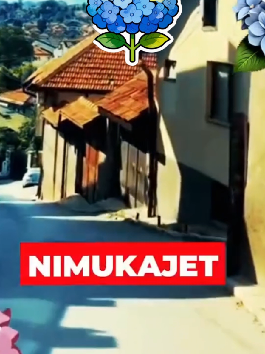 @Hadžibeg