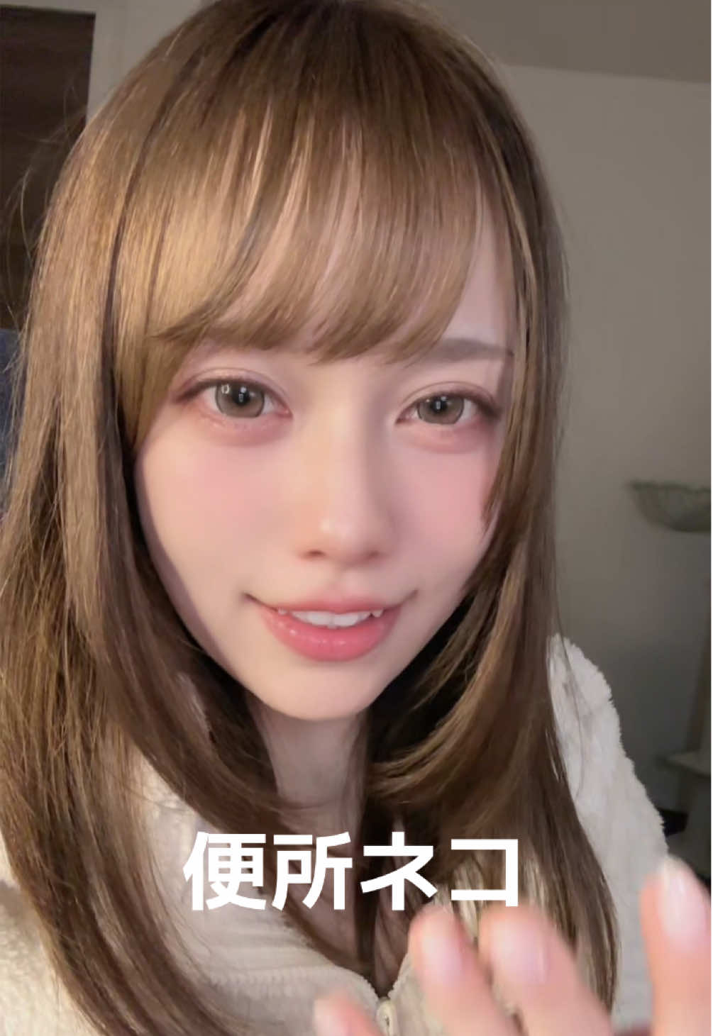 @白宮あんず