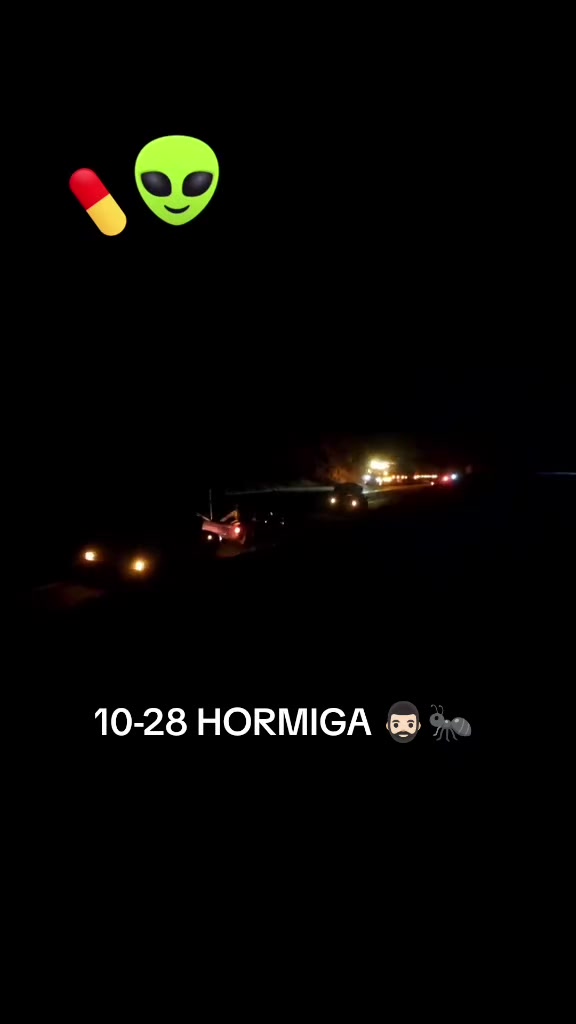 @10/28 Hormiga 0~0JM