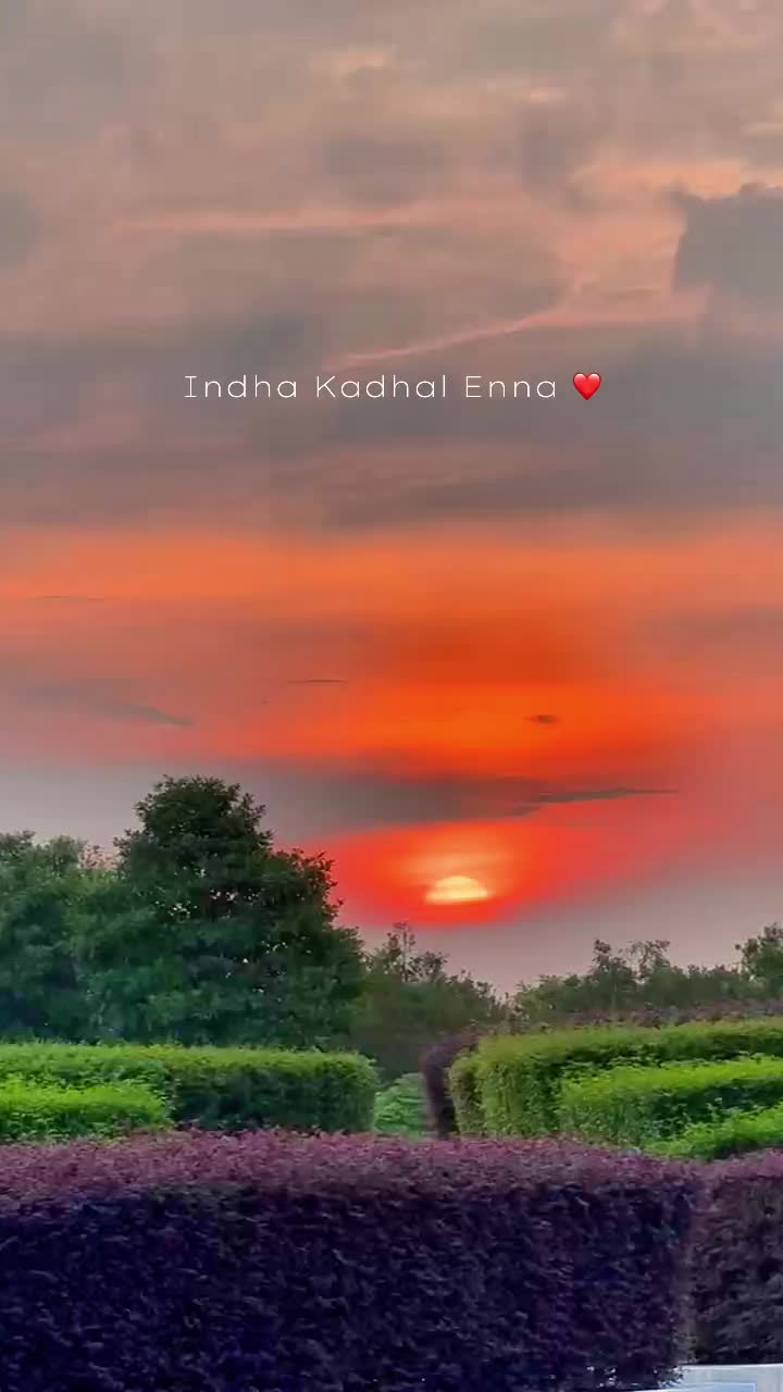@ѕυηѕнιηє✨